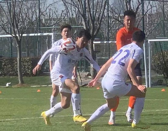 gogo高清视频在线观看